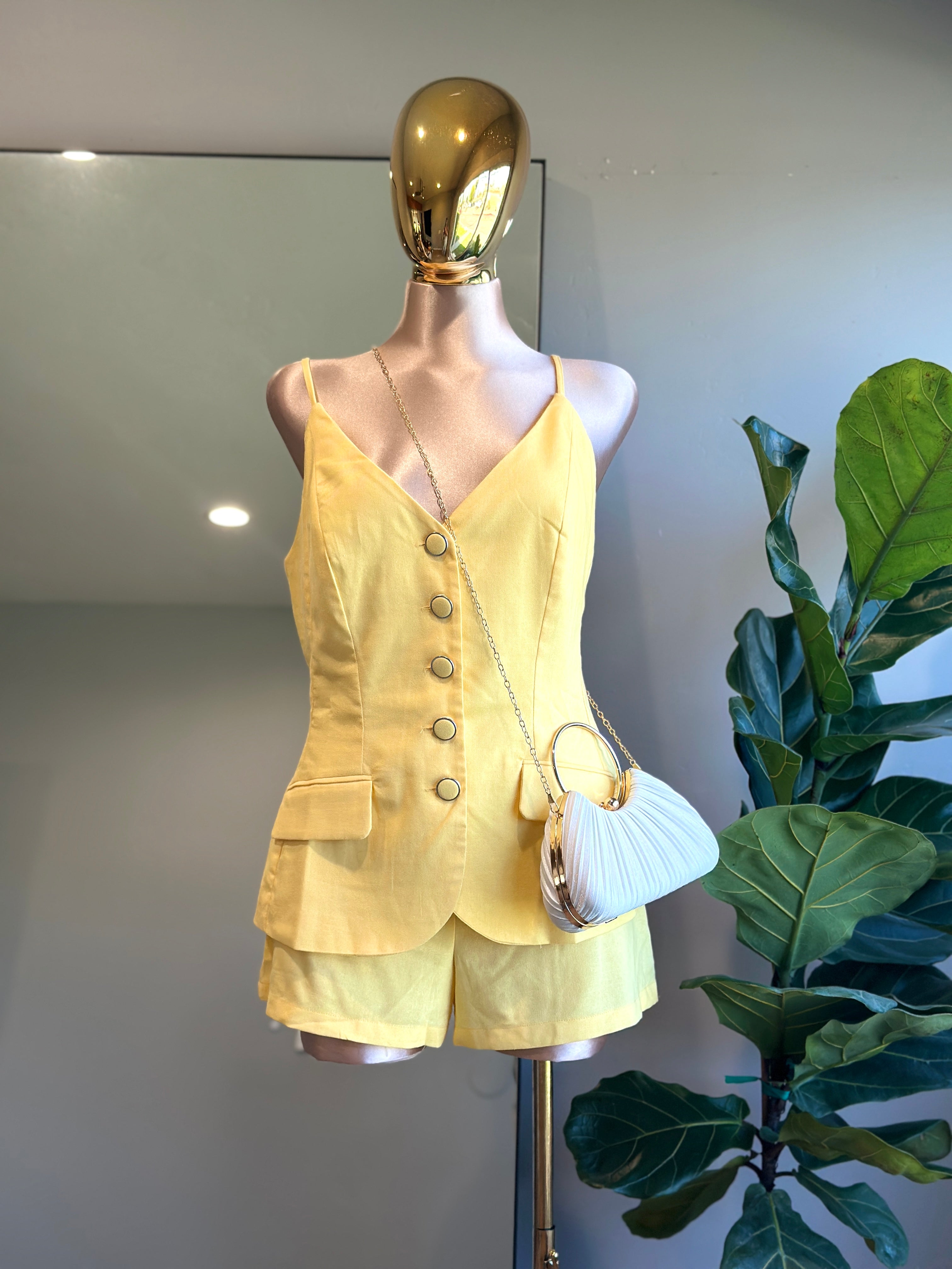 SET001-  Elegant Sunshine Set